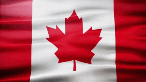 Best LED Mask Canada